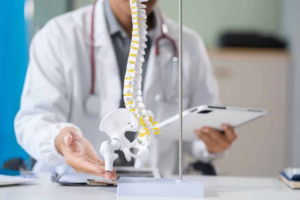 Spinal Disc Replacement Guide